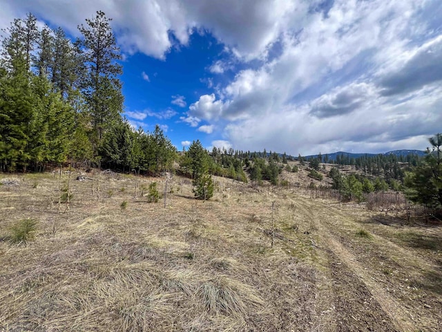 7XX Old Arden Hwy, Colville, WA 99114 - photo 20