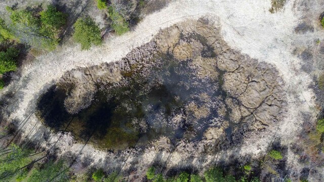 7XX Old Arden Hwy, Colville, WA 99114 - photo 3