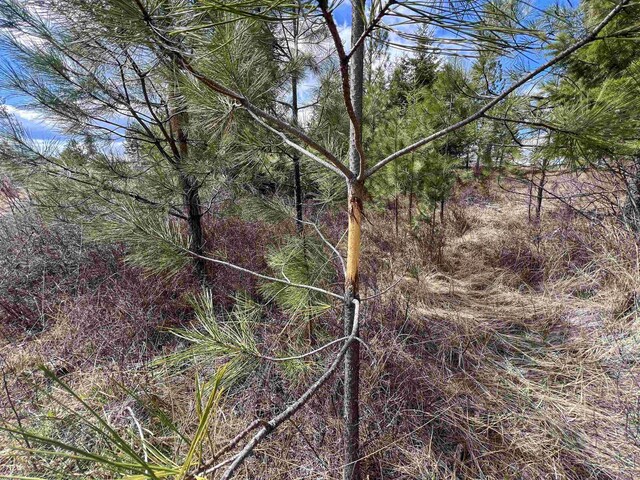 7XX Old Arden Hwy, Colville, WA 99114 - photo 21