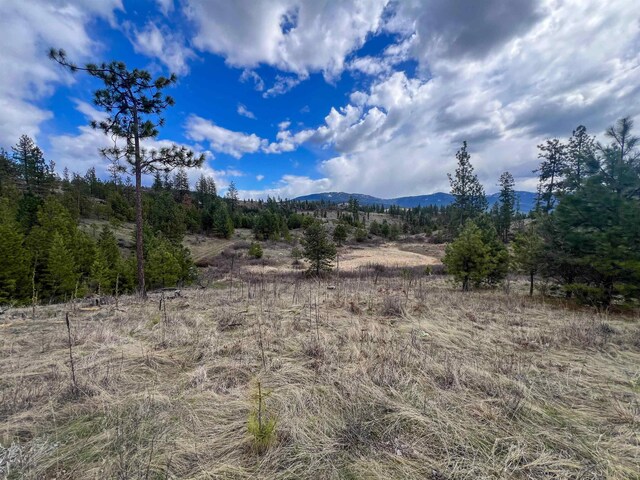 7XX Old Arden Hwy, Colville, WA 99114 - photo 22