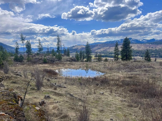 7XX Old Arden Hwy, Colville, WA 99114 - photo 26