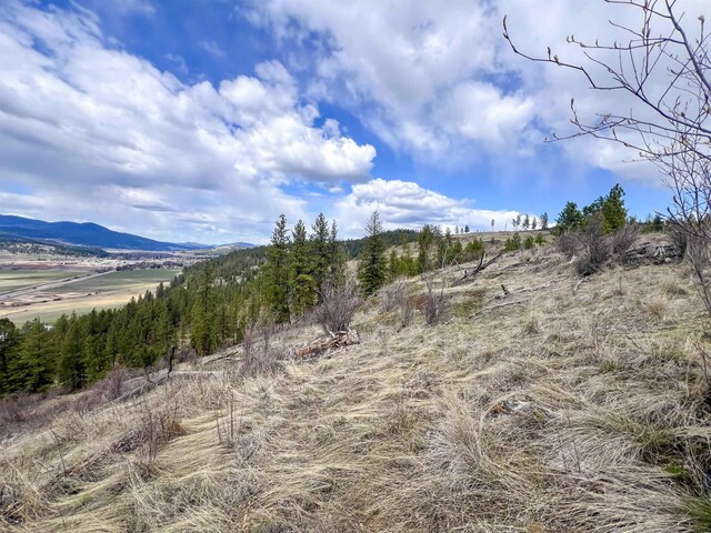 7XX Old Arden Hwy, Colville, WA 99114 - photo 28