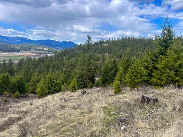 7XX Old Arden Hwy, Colville, WA 99114 - photo 29