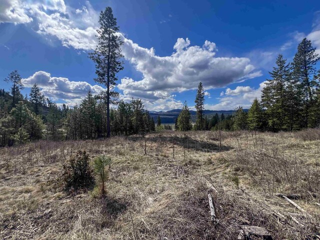 7XX Old Arden Hwy, Colville, WA 99114 - photo 4