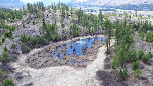 7XX Old Arden Hwy, Colville, WA 99114 - photo 7
