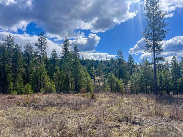 7XX Old Arden Hwy, Colville, WA 99114 - photo 9