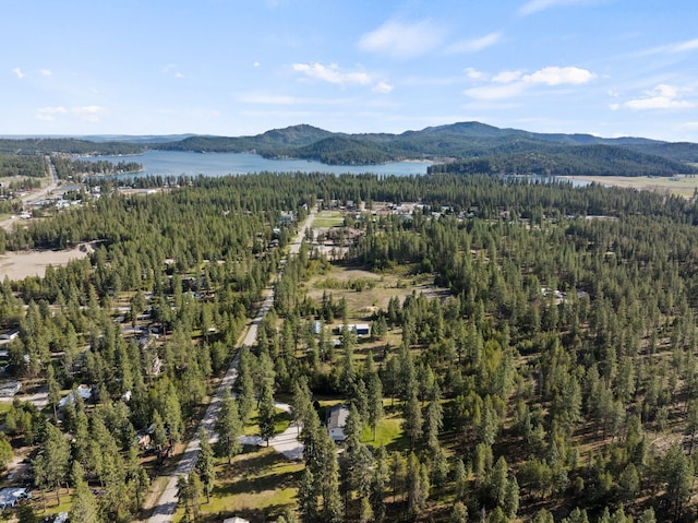 birds eye view of property with a water and mountain view and a wooded view