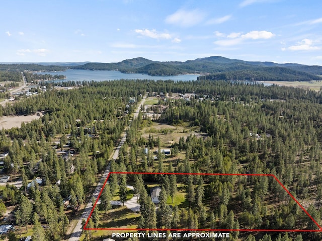 bird's eye view with a view of trees and a water and mountain view