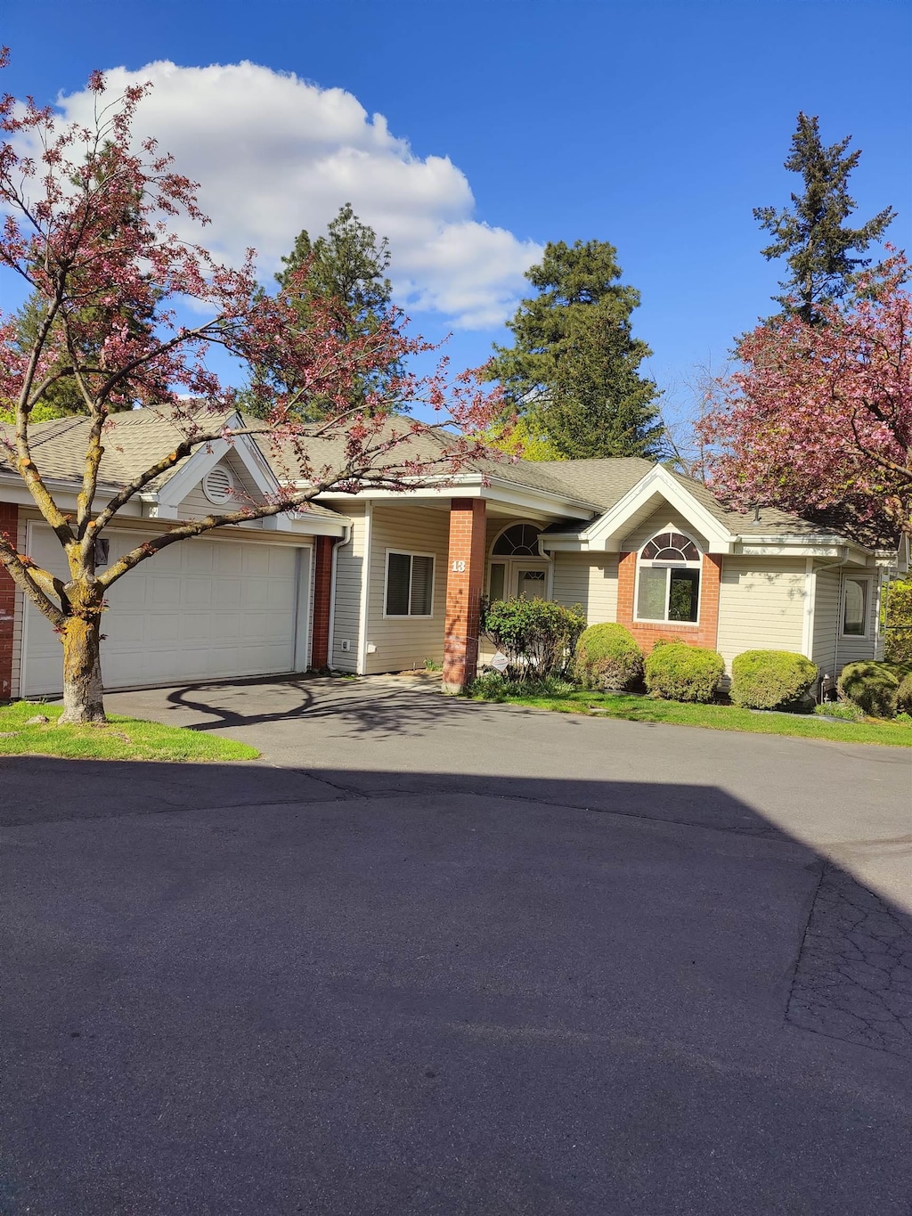 ranch-style home with an attached garage and concrete driveway