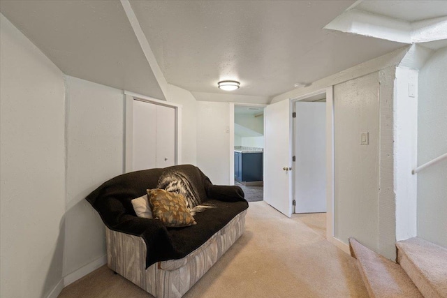 sitting room with light carpet