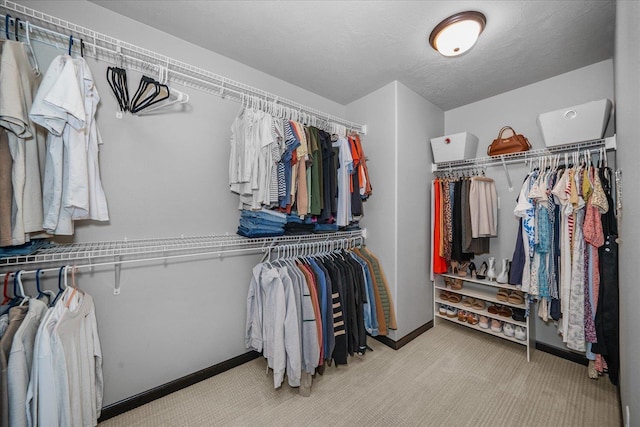 walk in closet featuring carpet
