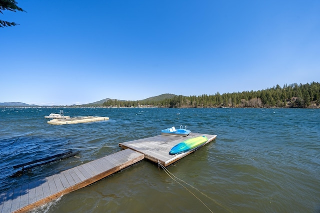 dock area with a water and mountain view