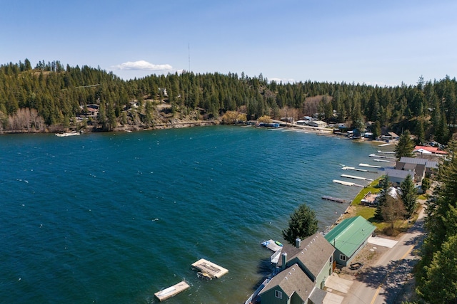 property view of water with a wooded view