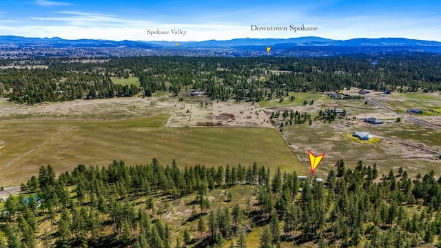 8323 W Mission Ave, Spokane, WA 99224 - aerial view with a forest view and a mountain view