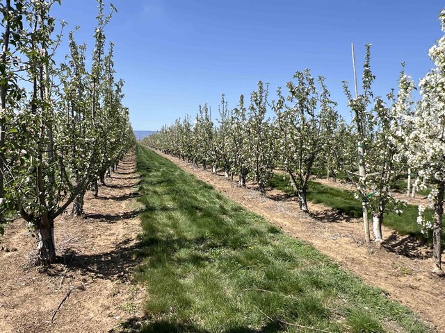 6627 Rd T Road NW, Road, WA 98848 - photo 2