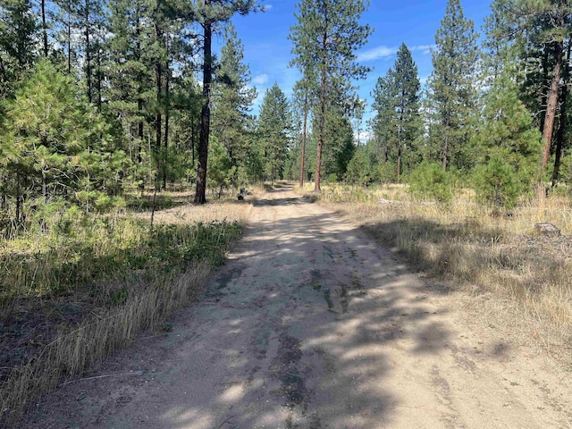 47 Stecker Rd, Wa, WA 99146 - photo 33