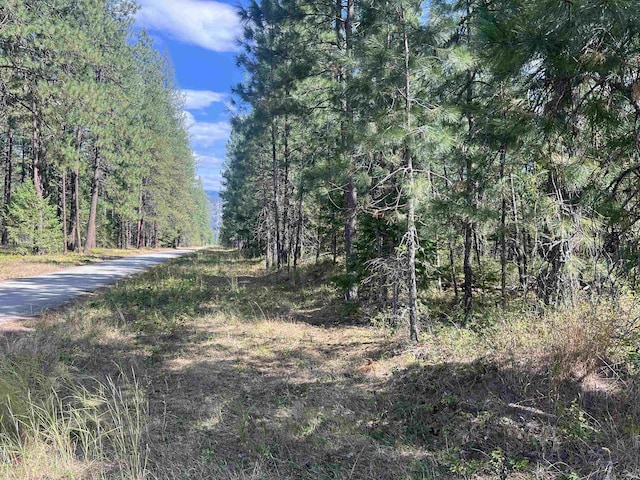 47 Stecker Rd, Wa, WA 99146 - photo 34
