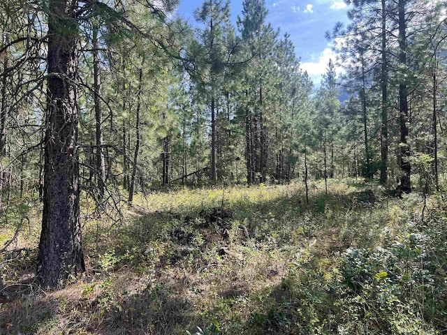 47 Stecker Rd, Wa, WA 99146 - photo 35