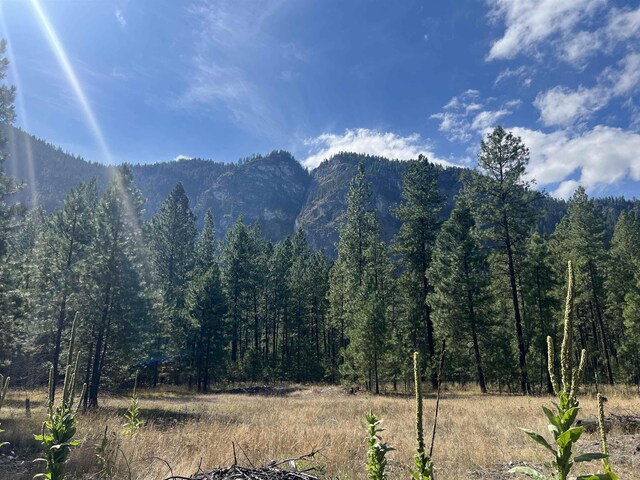 47 Stecker Rd, Wa, WA 99146 - photo 39