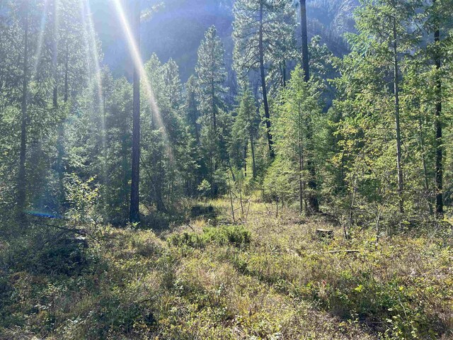 47 Stecker Rd, Wa, WA 99146 - photo 42