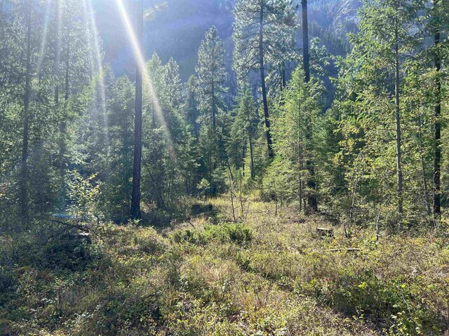 47 Stecker Rd, Wa, WA 99146 - photo 44