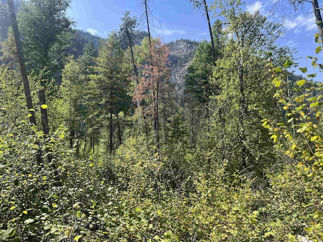 47 Stecker Rd, Wa, WA 99146 - photo 45