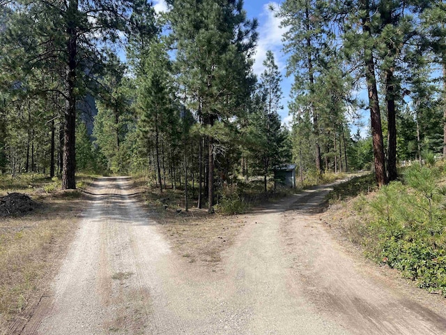 47 Stecker Rd, Wa, WA 99146 - photo 47