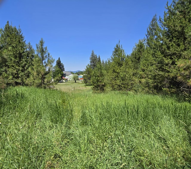187 W 8th St, Newport, WA 99156 - photo 12