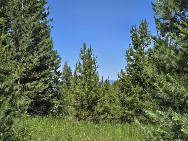 187 W 8th St, Newport, WA 99156 - photo 14