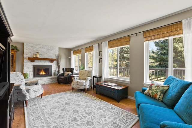 living room featuring baseboards, wood finished floors, and a large fireplace
