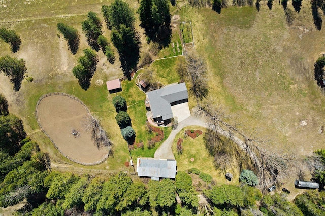 bird's eye view