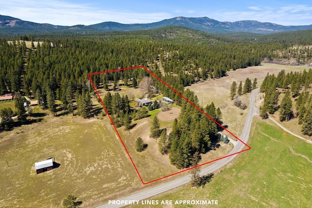 drone / aerial view featuring a forest view and a mountain view