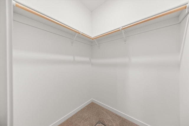 spacious closet with carpet floors