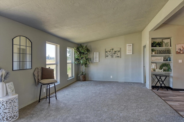 sitting room with baseboards, carpet flooring, and a textured ceiling