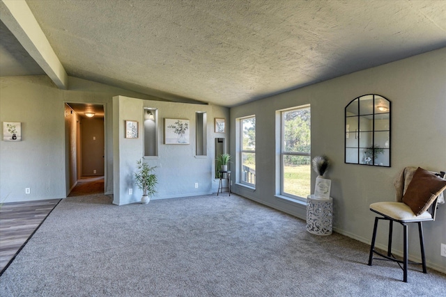 interior space with a textured ceiling, lofted ceiling, carpet floors, and baseboards