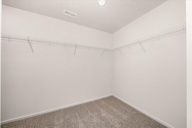spacious closet with visible vents and carpet flooring