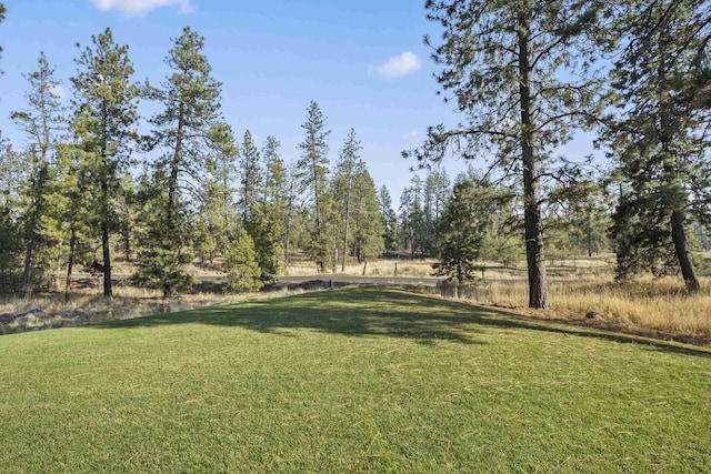 5818 S Abbott Rd, Spokane, WA 99224 - view of green lawn