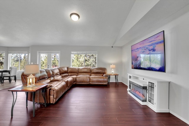 5818 S Abbott Rd, Spokane, WA 99224 - living area with dark wood finished floors, baseboards, lofted ceiling, and a glass covered fireplace