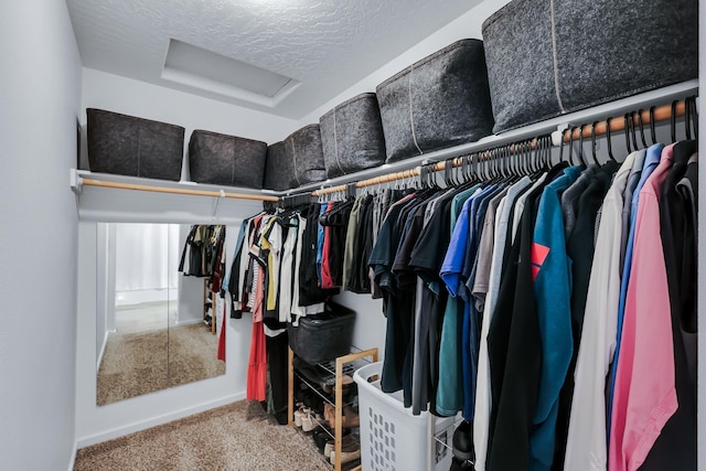 spacious closet featuring attic access and carpet floors