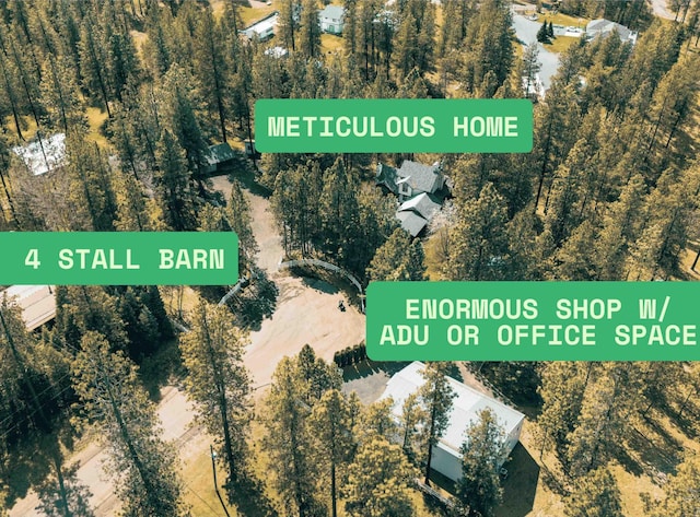 21203 W Beechwood Rd, Medical Lake, WA 99022 - aerial view of property's location