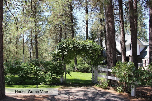 21203 W Beechwood Rd, Medical Lake, WA 99022 - surrounding community with a yard and a gate