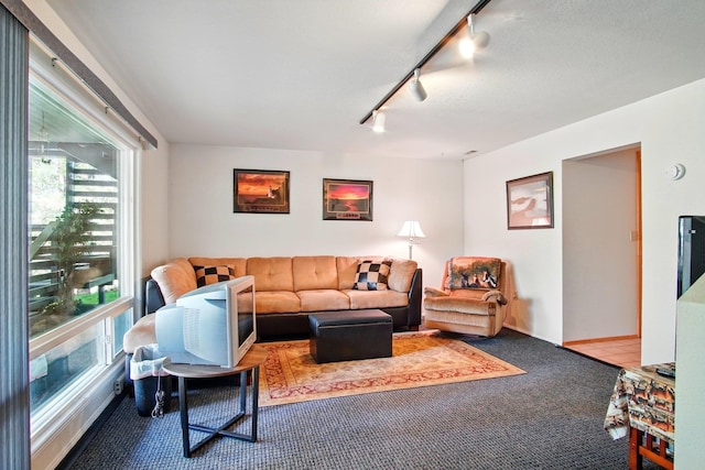 21203 W Beechwood Rd, Medical Lake, WA 99022 - carpeted living room with track lighting