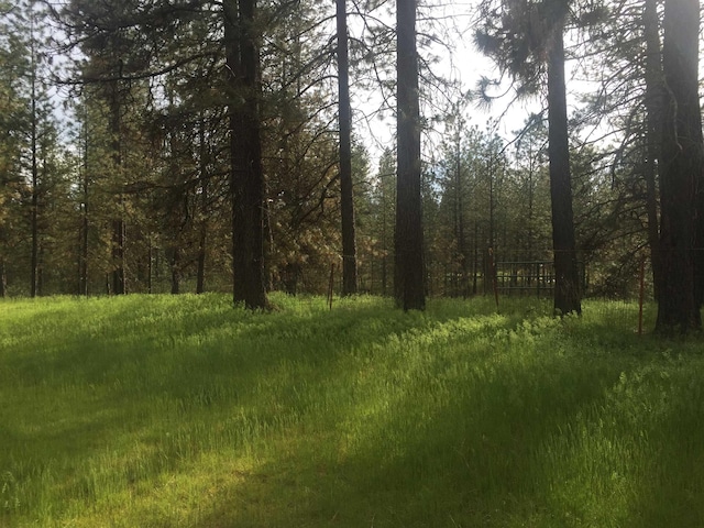 21203 W Beechwood Rd, Medical Lake, WA 99022 - view of tree filled area