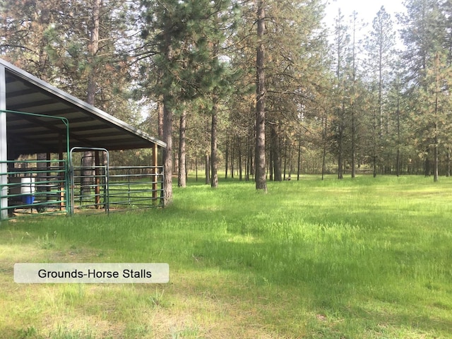 21203 W Beechwood Rd, Medical Lake, WA 99022 - view of yard featuring an exterior structure and an outdoor structure