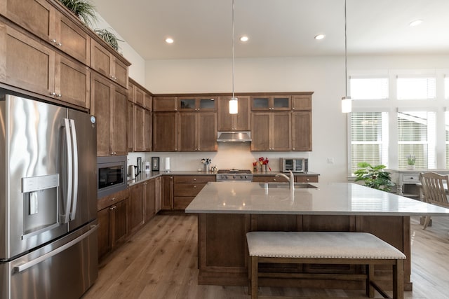 kitchen with light wood finished floors, under cabinet range hood, stainless steel appliances, stone countertops, and glass insert cabinets