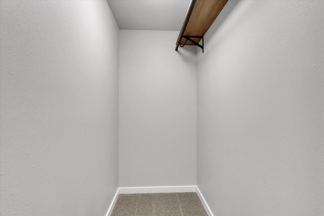 spacious closet with carpet floors