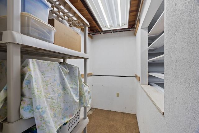 walk in closet featuring carpet floors