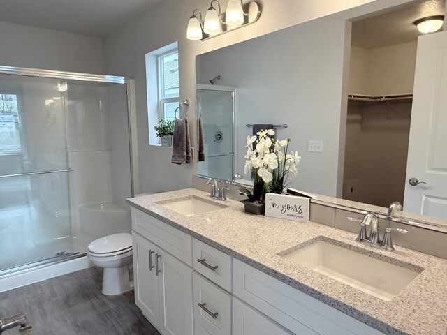 bathroom with toilet, a sink, a walk in closet, and a stall shower