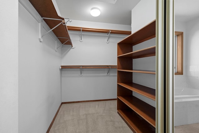 spacious closet featuring light colored carpet