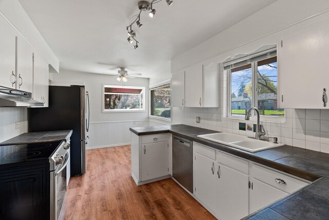 kitchen featuring white cabinets, plenty of natural light, a sink, appliances with stainless steel finishes, and ceiling fan